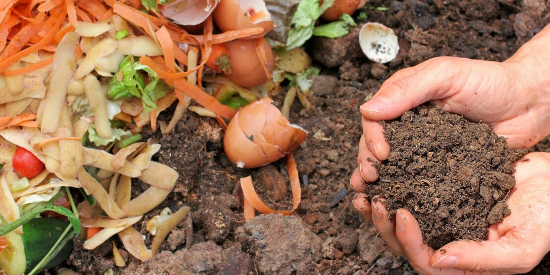 Das Foto zeigt Bioabfälle und eine Hand, die Erde hält